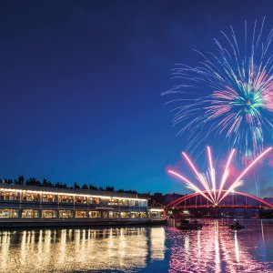 Donau in Flammen