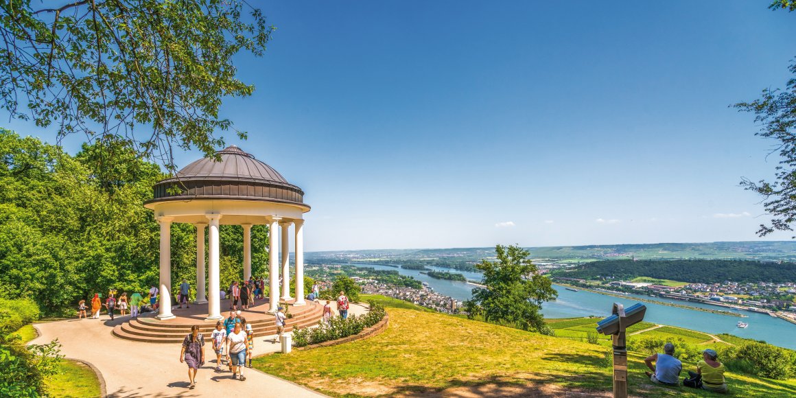 Blick vom Niederwalddenkmal auf den Rhein