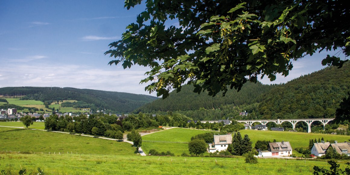 Blick auf Willingen