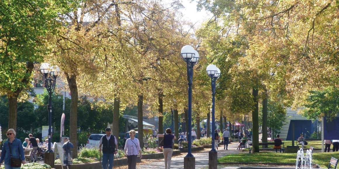 Brunnenallee Bad Wildungen