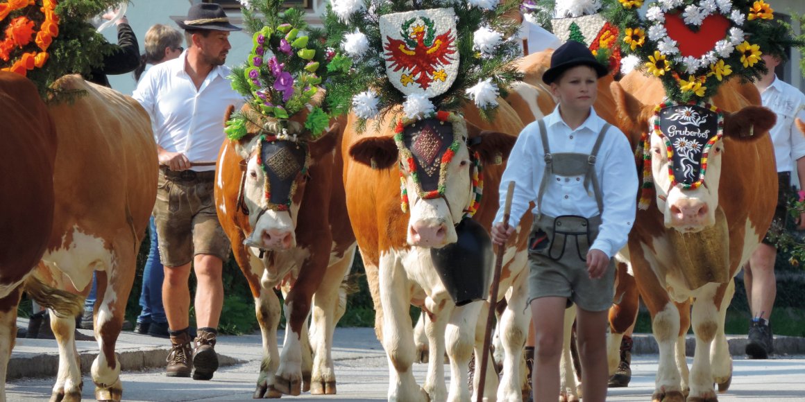 Almabtrieb in Reith im Alpbachtal