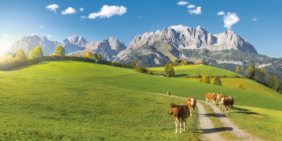 Herbststimmung am Wilden Kaiser