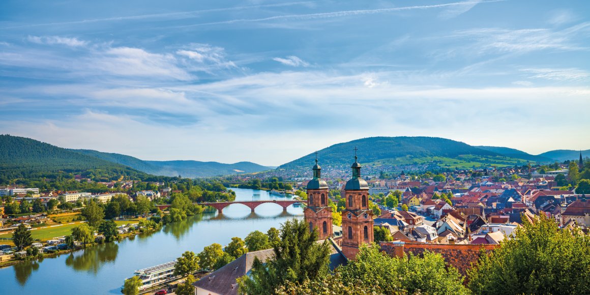 Blick auf Miltenberg am Main