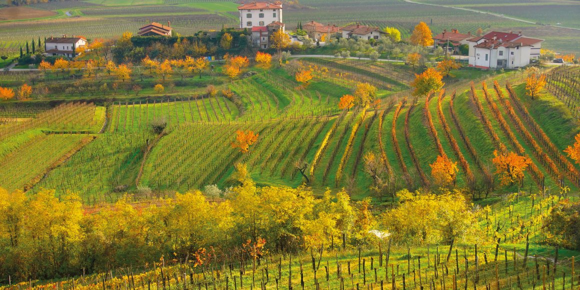 Collio Weinregion