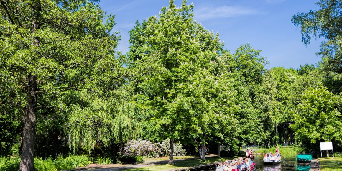 Kahnfahrt im Spreewald