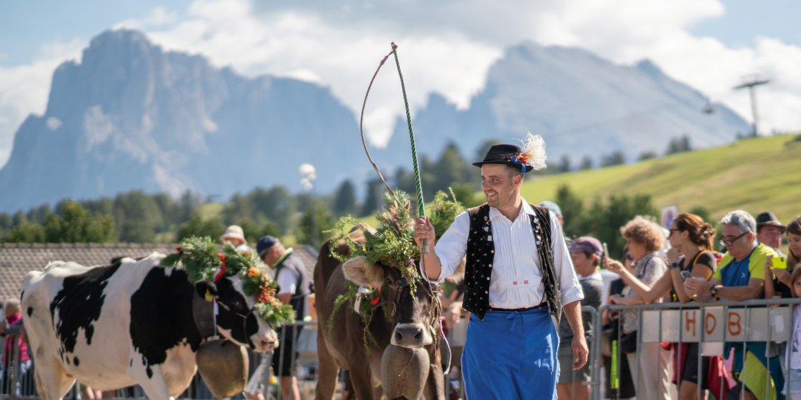 Almabtrieb Compatsch - Kastelruth