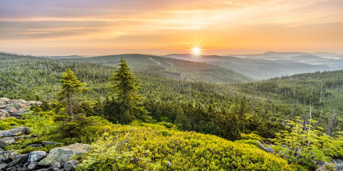 Bayerischer Wald