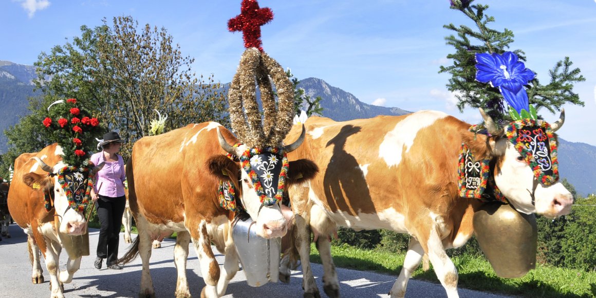 Almabtrieb in Reith im Alpbachtal