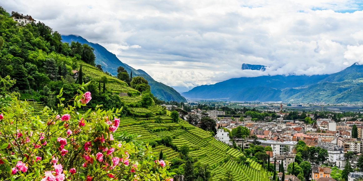 Meran