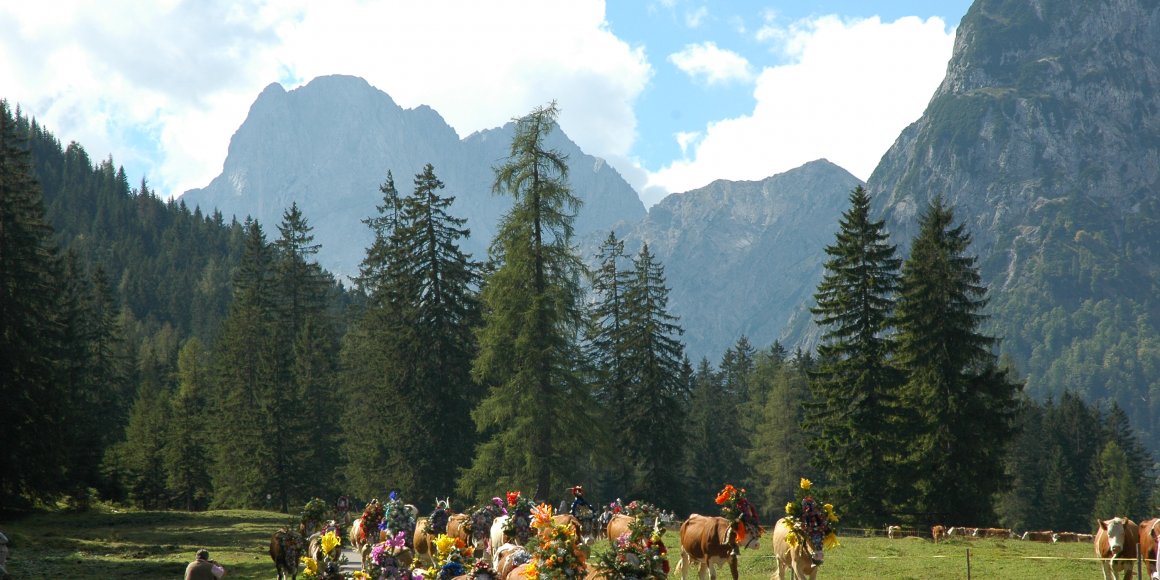 Almabtrieb Gramai Alm