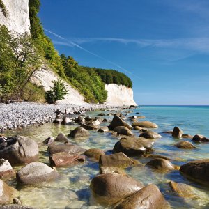 Kreidefelsen auf Rügen