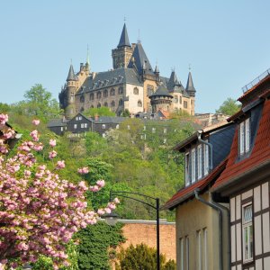 Blick von Wernigerode auf das Schloss