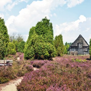 Schafstall in der Lüneburger Heide