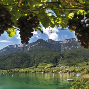 Blick auf den Kalterer See