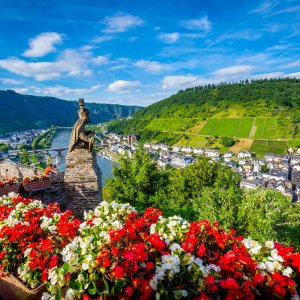 Blick von der Burg Cochem auf die Mosel