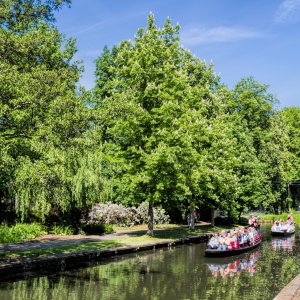 Kahnfahrt im Spreewald