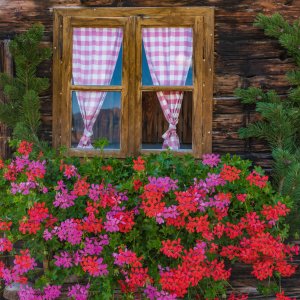 Blumengeschmücktes Bauernhaus