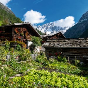 Bauernhof in Südtirol