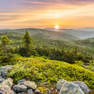 Bayerischer Wald