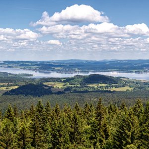 Moldaublick