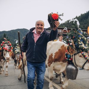 Almabtrieb in Gerlos
