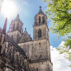 Der Magdeburger Dom