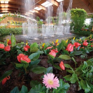 Wasserorgel in der Blumenhalle Blumenreich
