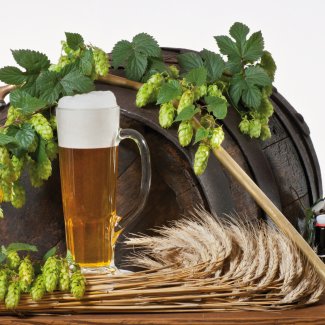 Bierfass, Bierkrug und Hopfen