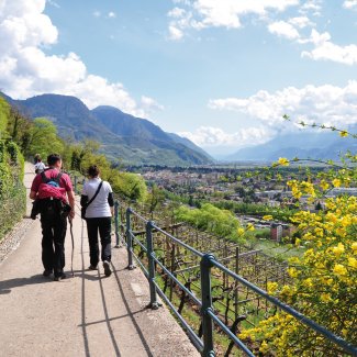 Wandern auf dem Tappeinerweg bei Meran