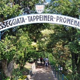 Tappeinerweg bei Meran