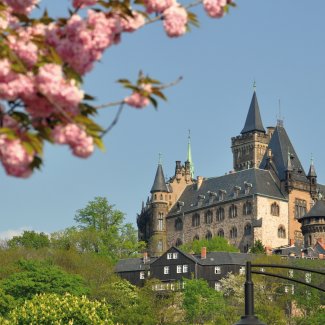 Schloss Wernigerode im Frühling