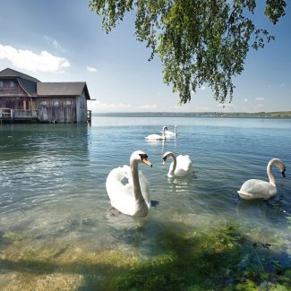 Bootshaus am Ammersee