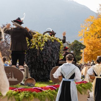 Traubenfest in Meran