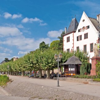 Rheinpromenade von Eltville