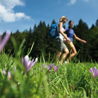 Frühling in Kaltern am See
