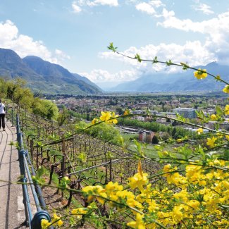 Tappeinerweg bei Meran