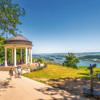 Blick vom Niederwalddenkmal auf den Rhein