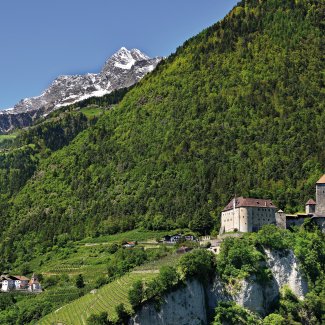 Schloss Tirol