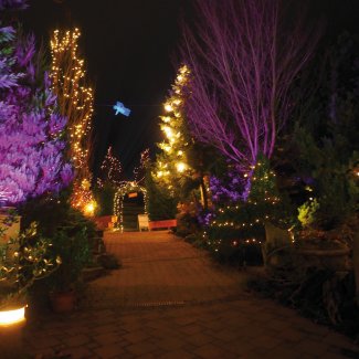 Adventszauber in den Kittenberger Erlebnisgärten 