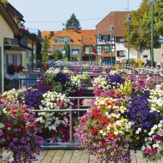 Am Durbach in Durchbach