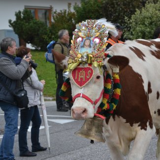 Almabtrieb in Terenten