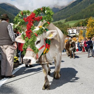 Almabtrieb in Terenten