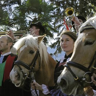 Haflinger-Umzug in Meran