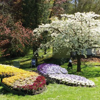 Kurpark Bad Wildungen