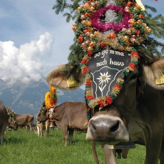 Almabtrieb Fügen