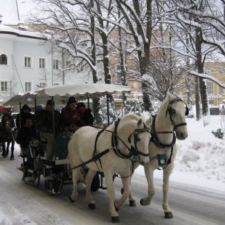 Pferdeschlitten in Bad Ischl 