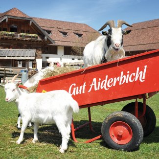 Willkommen auf Gut Aiderbichl