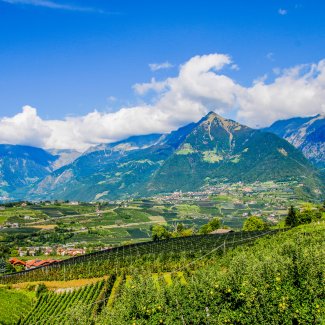 Blick auf die Mutspitze