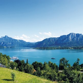 Blick auf den Mondsee