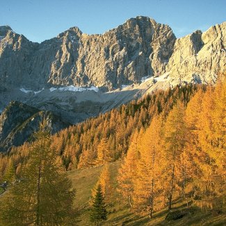 Dachstein im Herbst